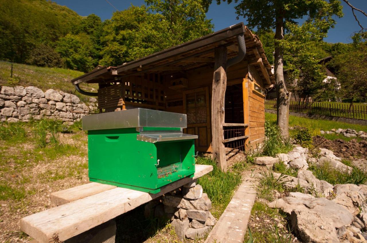 B&B Botton d'Oro Valle Imagna Fuipiano Valle Imagna Esterno foto
